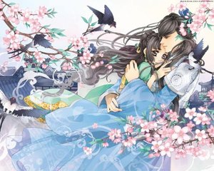 稀缺资源发布页